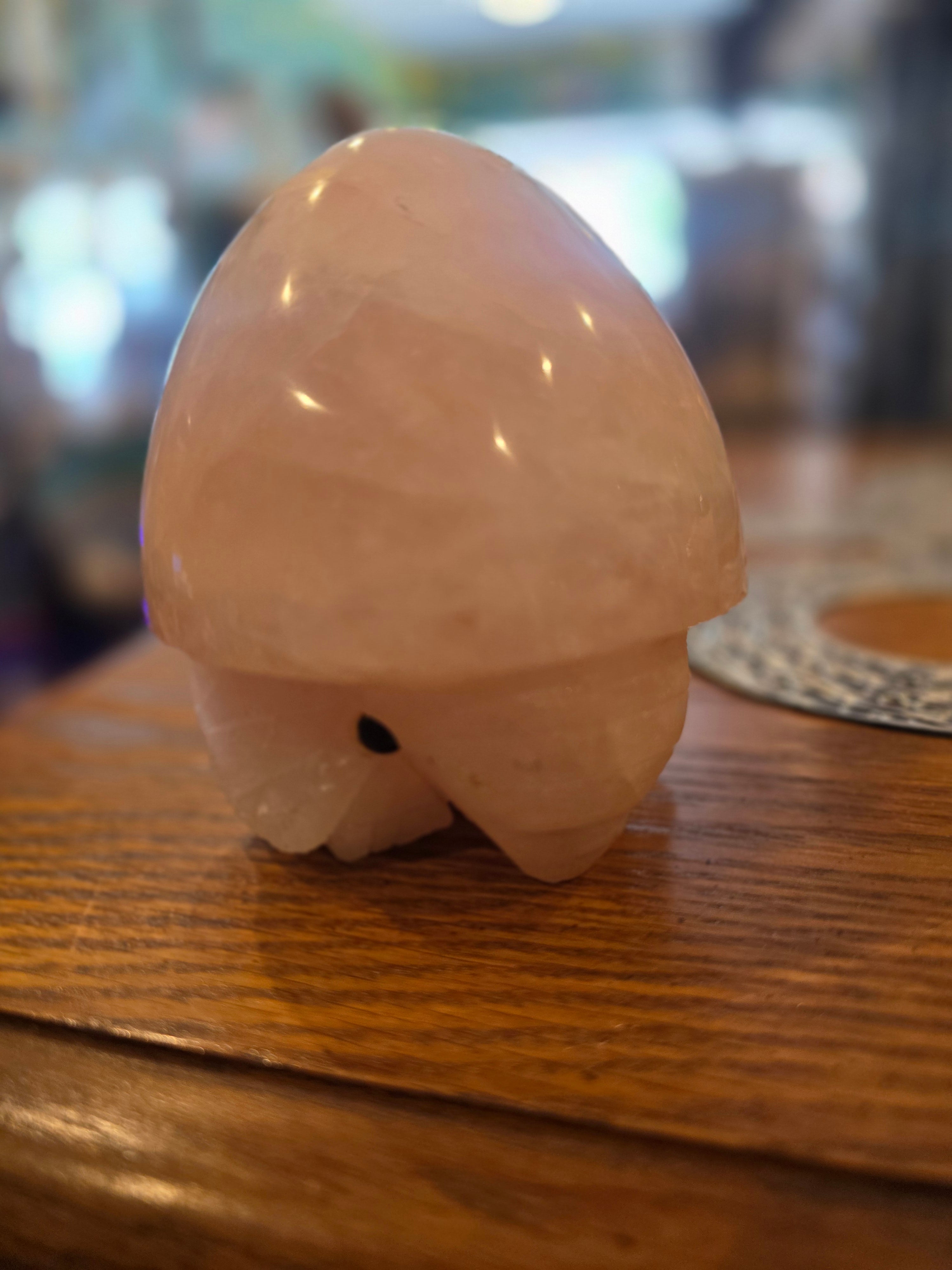Rock pet - 4