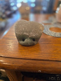 Rock Pet - 2