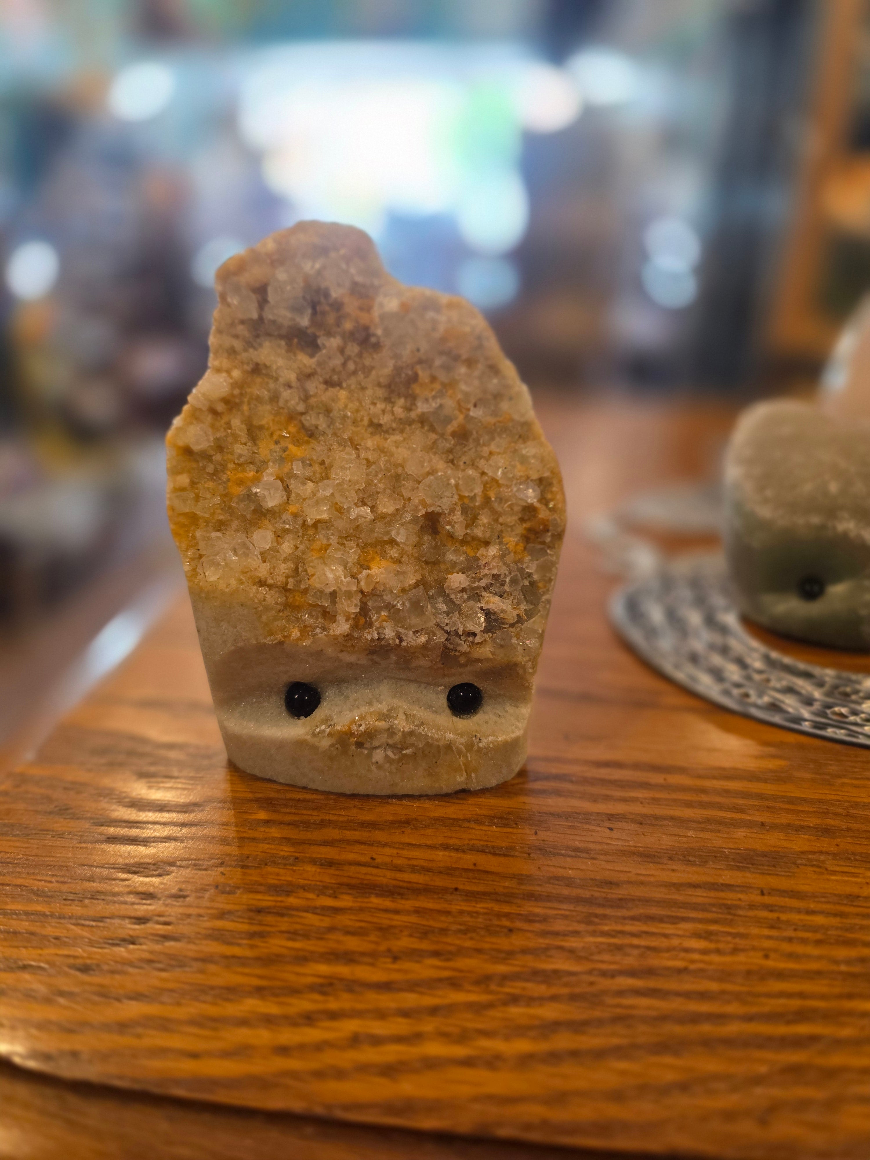 Rock Pet - 3