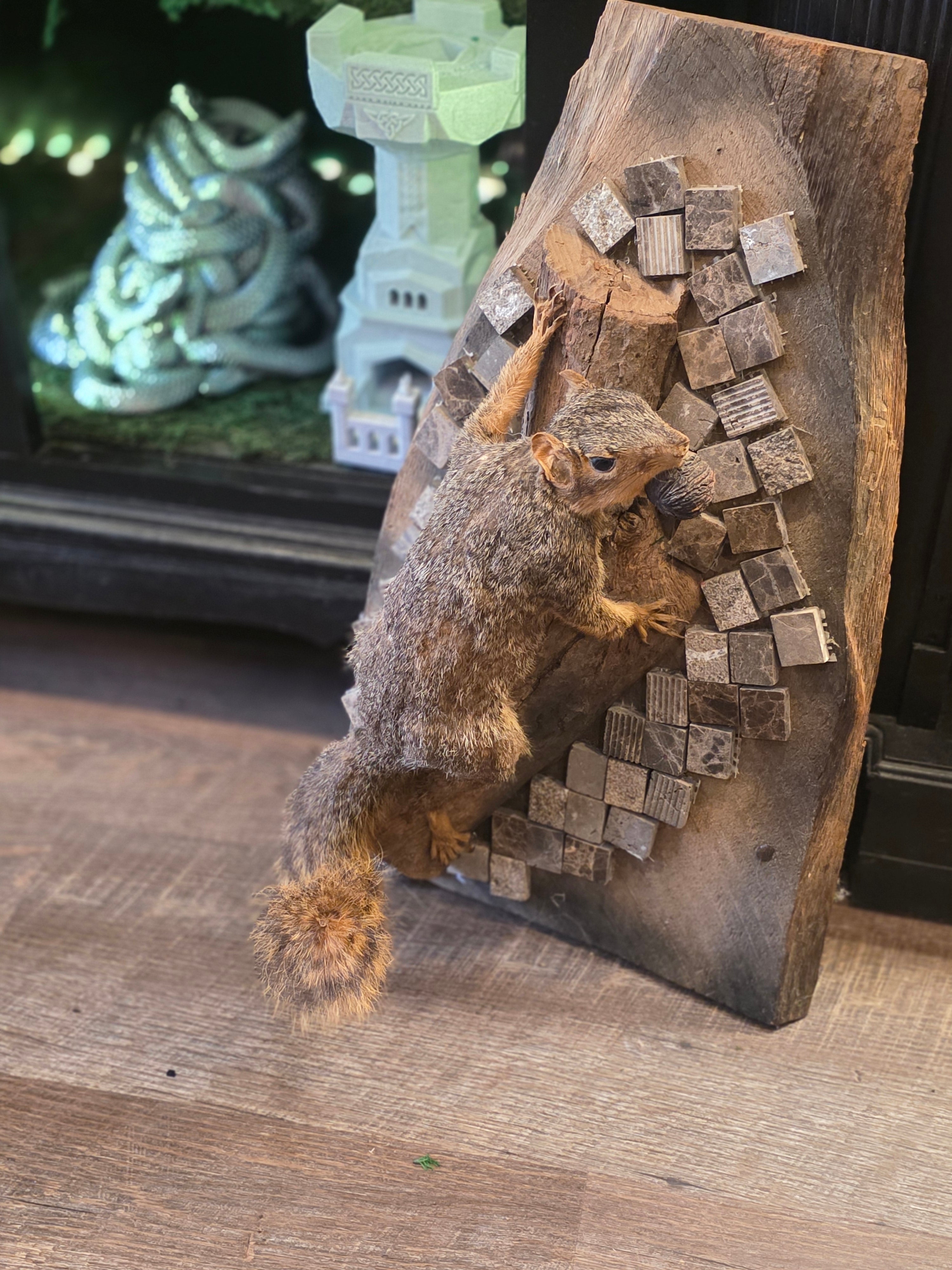 BG Squirrel