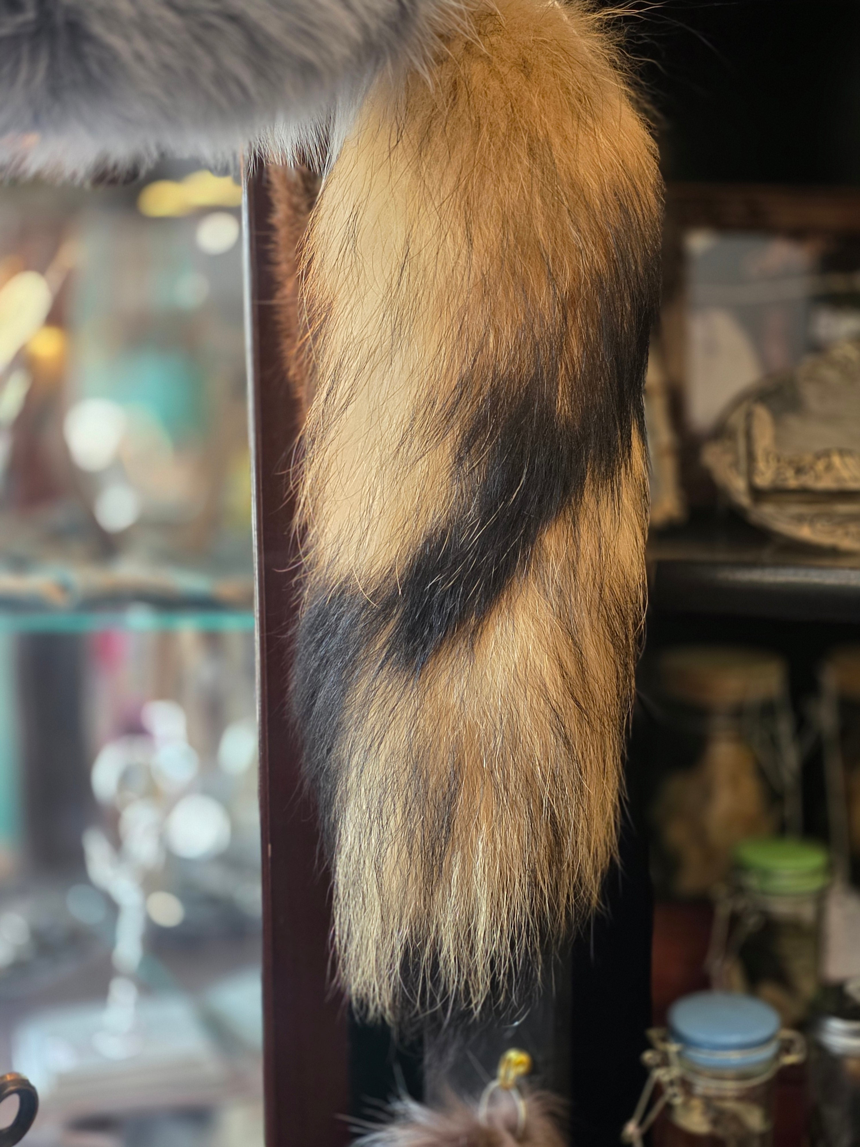 Fox Tail - Bone Girl