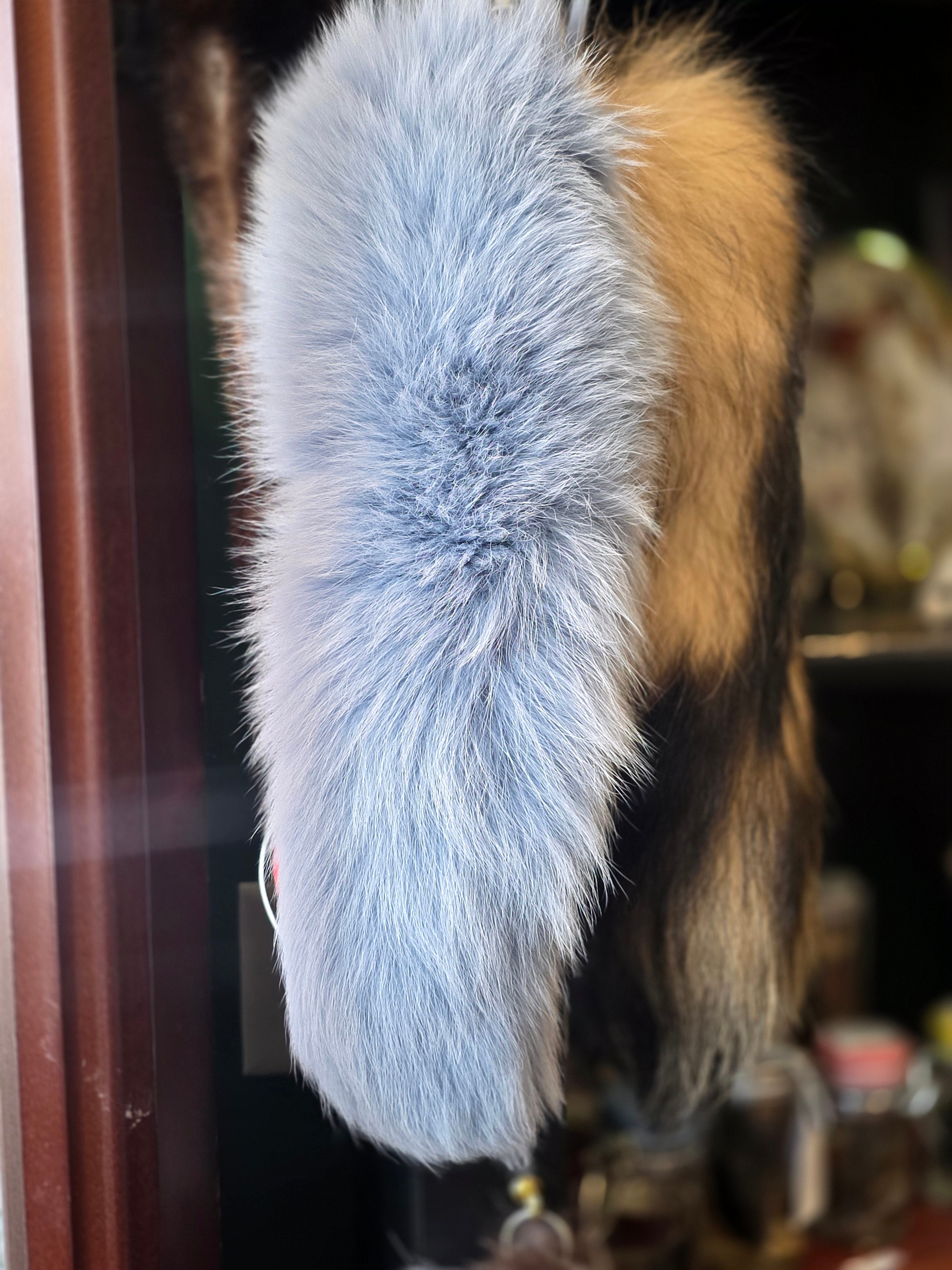 BG Fox Tail
