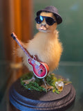 CC Blues Bros Duck