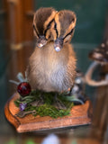 CC Two-headed Duck