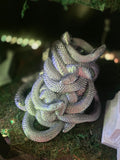 MM Medusa