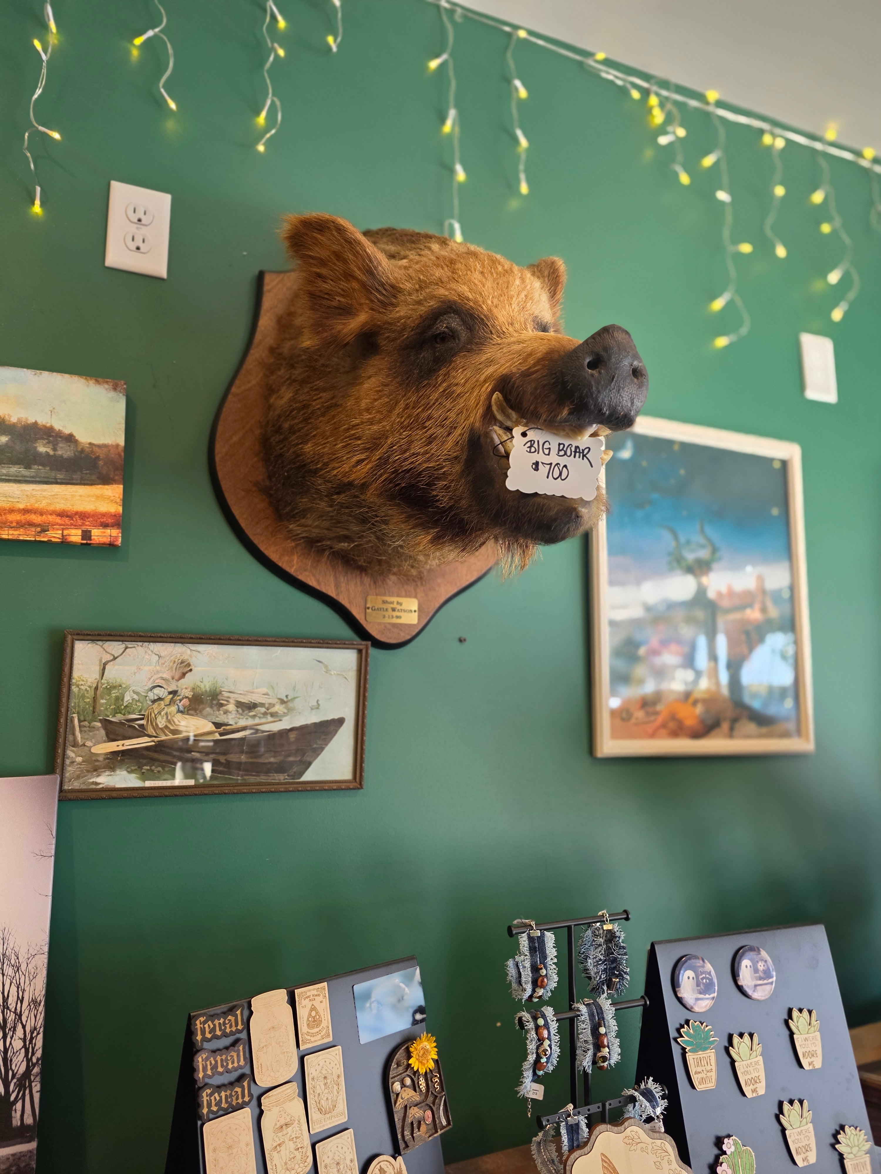 CC Boar Head