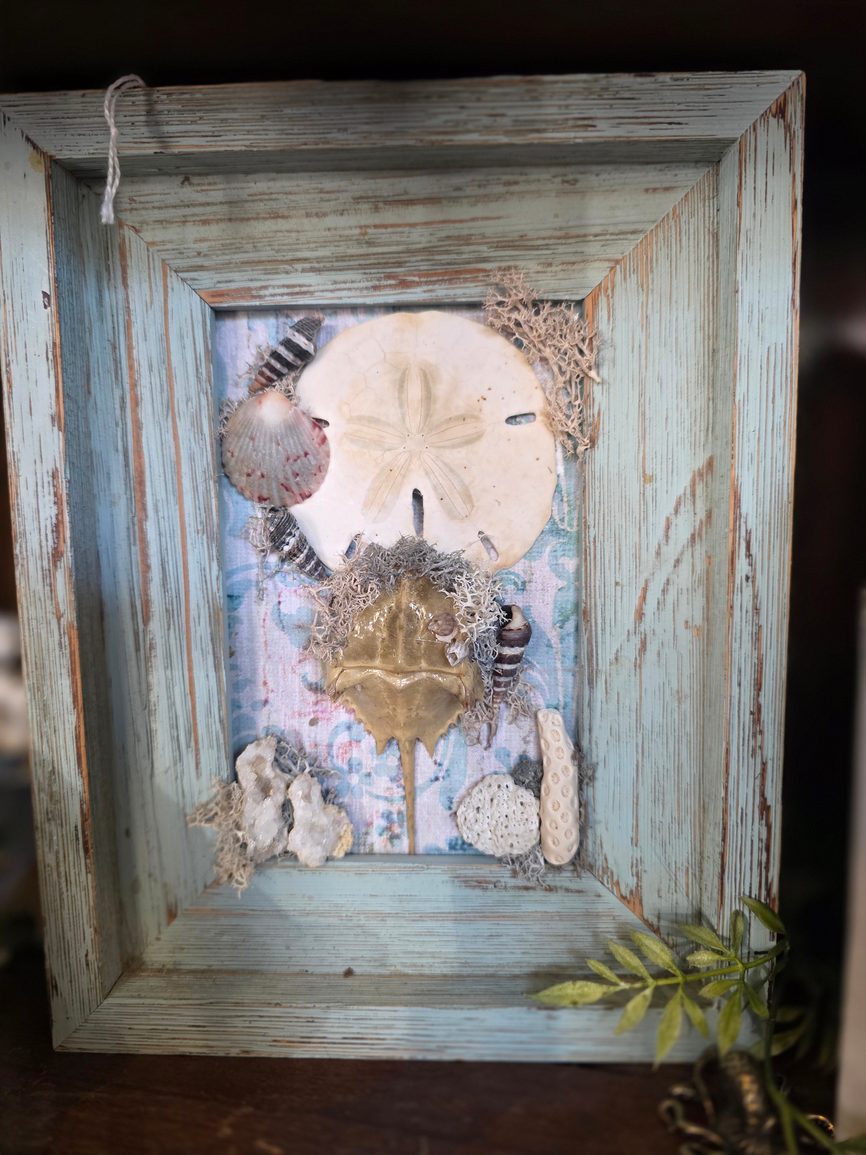 Framed Horshoe Crab (BG)