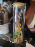 Fox Foot Cloche (BG)