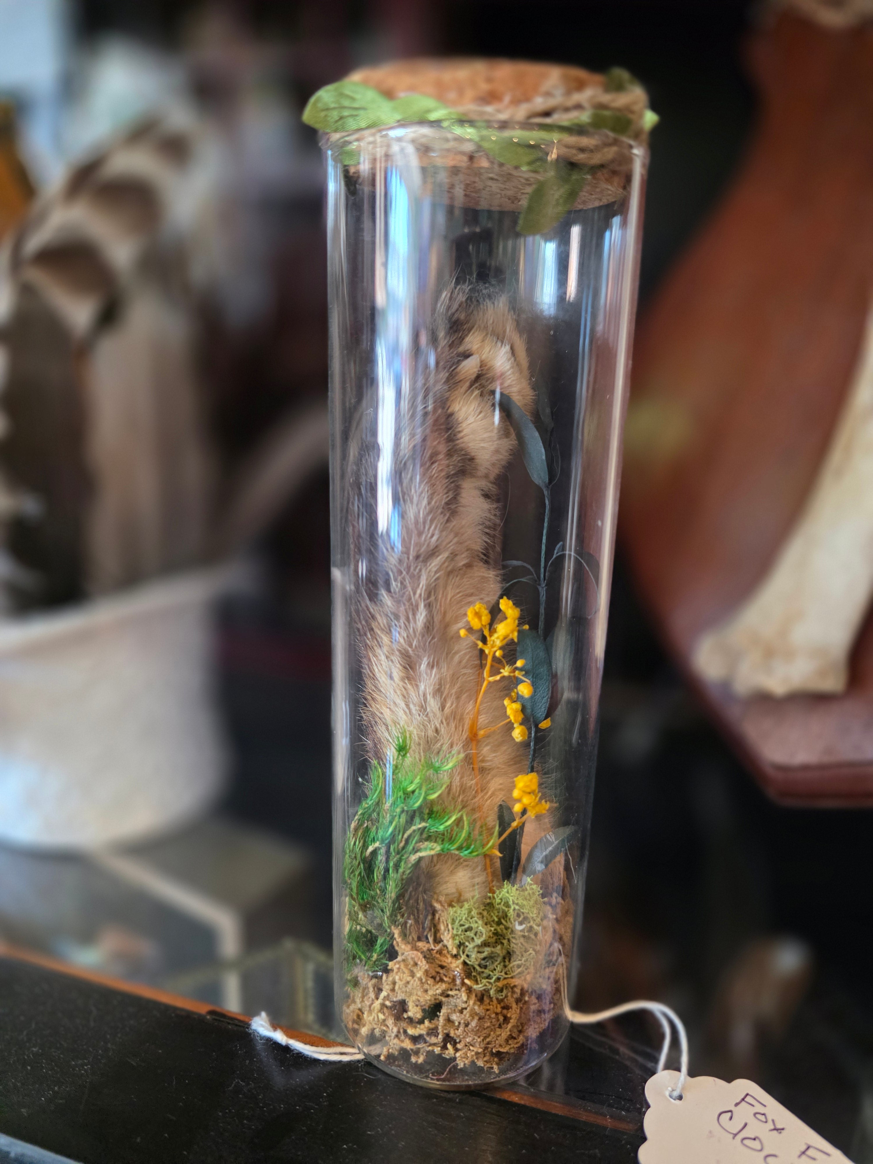 Fox Foot Cloche (BG)