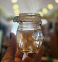Wet Specimen Jellyfish