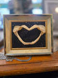 Vintage Shark Jaw in Frame